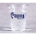 #12PC -12oz Disposable Clear Cold Cup